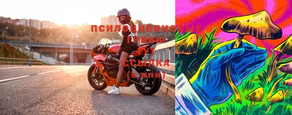 mdpv Богородицк
