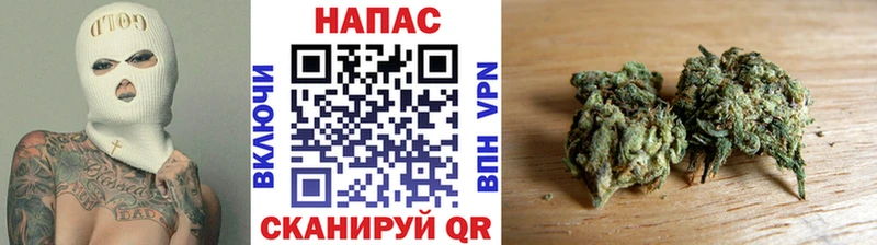 Бошки Шишки семена  Клинцы 
